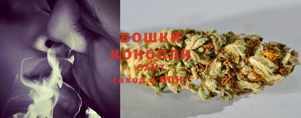 трава Сосновоборск