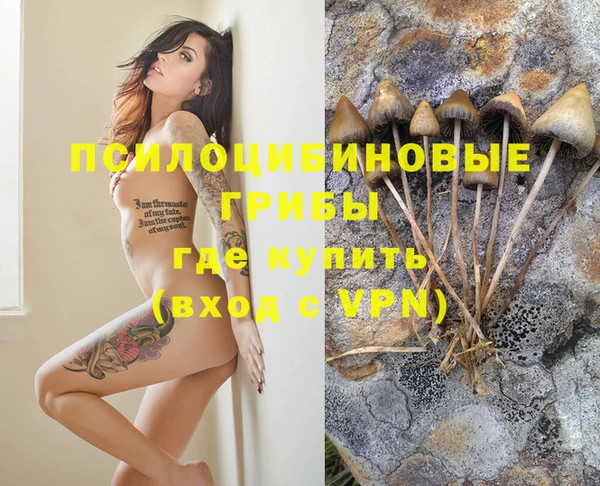 мескалин Баксан