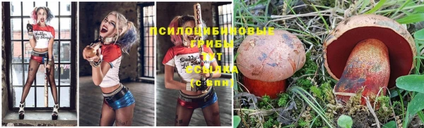 мескалин Баксан