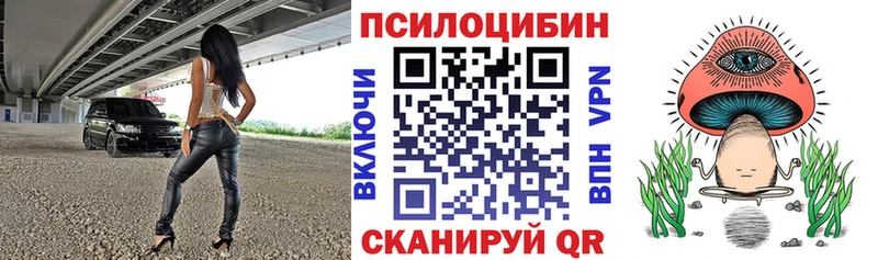 Галлюциногенные грибы Psilocybe  Воркута 